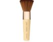 THE HANDI BRUSH