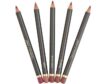 LIP PENCIL